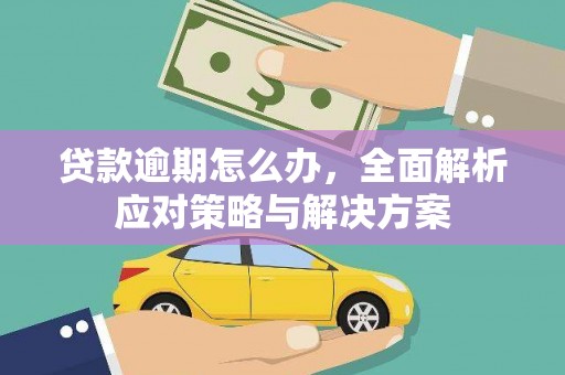 鹿草贷款逾期怎么办，全面解析应对策略与解决方案