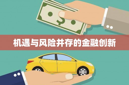 鹿草机遇与风险并存的金融创新