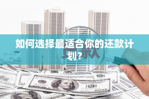 鹿草如何选择最适合你的还款计划？
