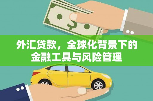 鹿草外汇贷款，全球化背景下的金融工具与风险管理