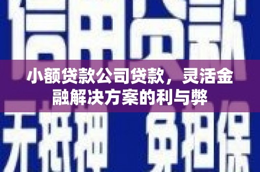 鹿草小额贷款公司贷款，灵活金融解决方案的利与弊