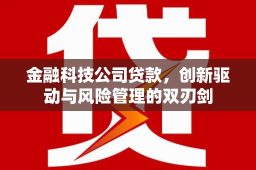 鹿草金融科技公司贷款，创新驱动与风险管理的双刃剑